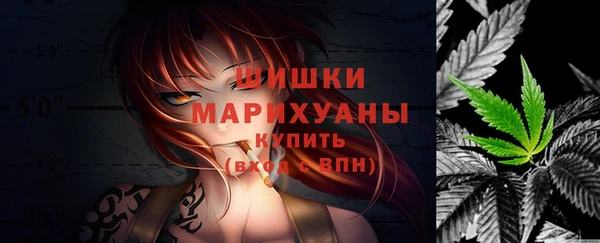 прущие крисы Новозыбков