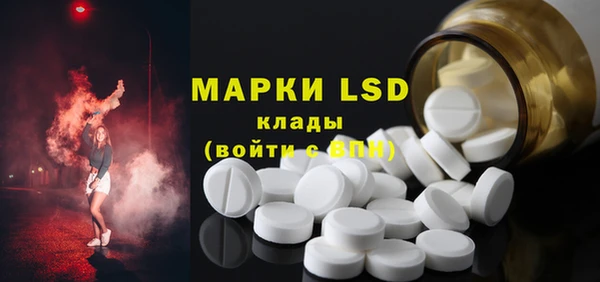 прущие крисы Новозыбков