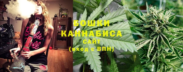 прущие крисы Новозыбков