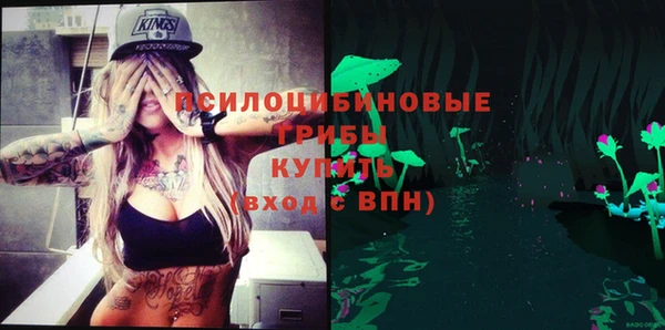 прущие крисы Новозыбков